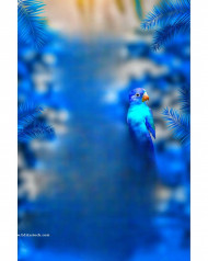 Cb naturak Background Free Download