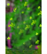 Cb natural Background Green tone For Snapseed