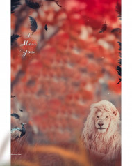 Cb photo Editing Background Full Hd Download (1)