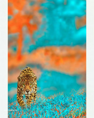 Cheeta hd cb editing background photoshop