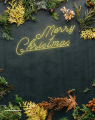 Christmas cb editing background