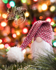 Christmas Editing Background Download