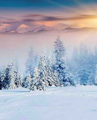 Christmas photo editing backgrounds