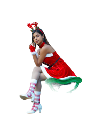 Christmas santa png