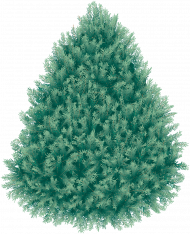 Christmas transparent png