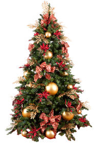 Christmas Tree PNG Transparent Images Free Download