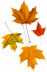 Clipart autumn transparent png images,Autumn transparent png images