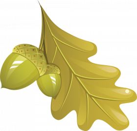 Clipart transparent background,Autumn transparent png images