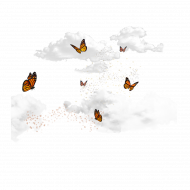 Clouds butterfly transparent png