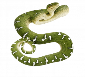 Cobra transparent snake png