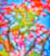 Colorful Cb editing background download