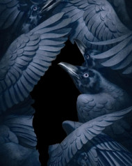 crow editing background download