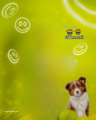 Cute dog cb editing background hd