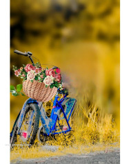 Cycle cb background editor