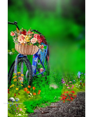 Cycle flower cb background editor
