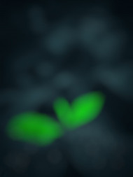 Dark blue Cb editing background