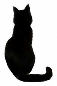 dark Ginger Cat Png Image Transparent Background