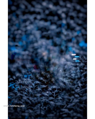 Dark hd cb background