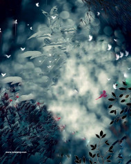 dark Hd cb photo editing background