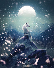 dark moon cat  photoshop editing background