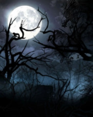 Dark night moon hd editing background
