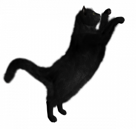 dark shadow Cat Png Transparent Background