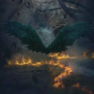 Dark wing  photoshop editing background