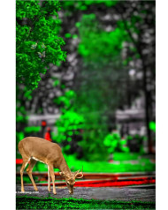 Dear cb editing background photoshop