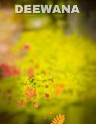 Deewana cb editing background