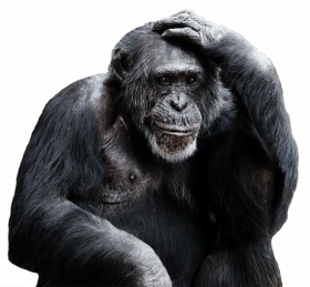 Depressed, Sad black monkey png