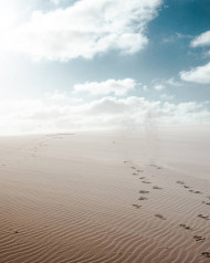 desert editing background