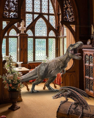 Dianasoure Editng Background Full Hd