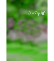 Dil Ka Raja Cb Background Download