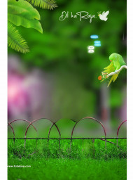 Dil ka raja hd photoshop cb editing background