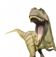 Dinosaur face transparent background, Dinosaur transparent background