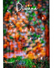 Diwana photoshop cb editing background download