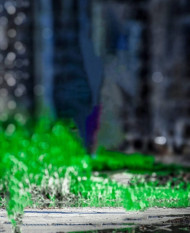 Dm editor cb editing background (1)