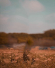 Dm editor cb editing background (2)