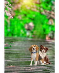 Dog cb background totalpng