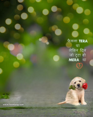 Dog cb editing background free download