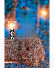 Dog lover cb background editing