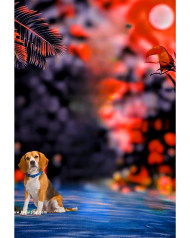 Dog lover cb background totalpng