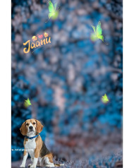 Dog lover totalpng cb editing background
