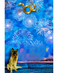 Dog new year hd editing background