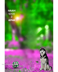 Dog snapseed cb editing background