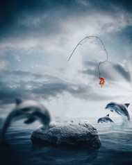 Dolphin editing background   Head cut editing background (2)