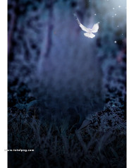 Dove cb editing background free download