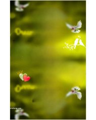 Dove hd cb backgrounds by totalpng