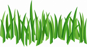 Download PNG image   Grass Png Image Green Grass Png Picture (1)