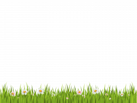 Download PNG image   Grass Png Image Green Grass Png Picture (3)